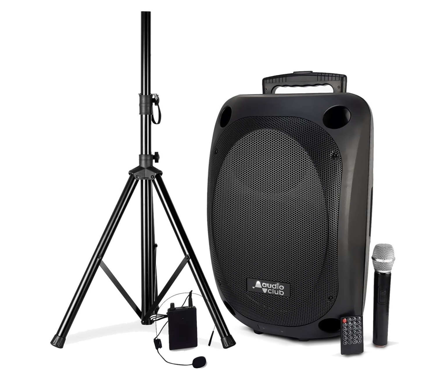 Audio club Enceinte Pro Portative 12